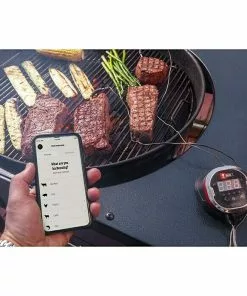 BAUHAUS Weber Grill-Thermometer IGrill 2 Bluetooth, 2 Messfühler -Weber Grills Verkäufe 2022 12 1290