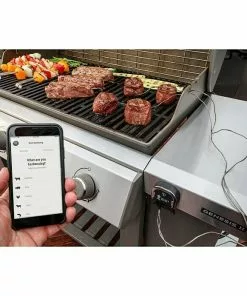 BAUHAUS Weber Grill-Thermometer IGrill 3 Messbereich: -30 - 300, Bluetooth, 2 Messfühler -Weber Grills Verkäufe 2022 12 167